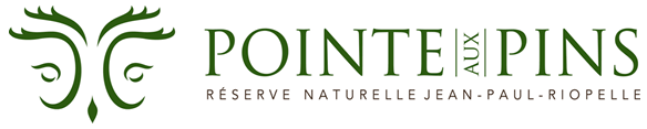 Pointe aux Pins